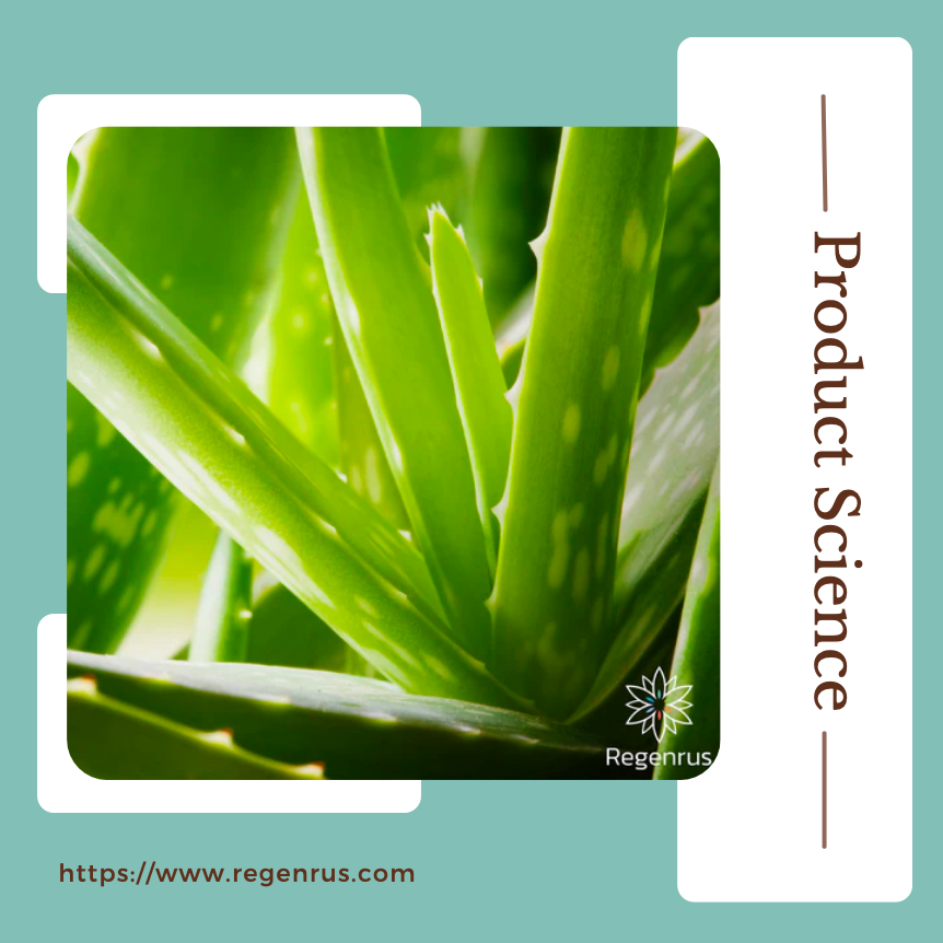 Interview With Dr. Santiago Rodriguez: The History And Benefits of Aloe Vera Extract