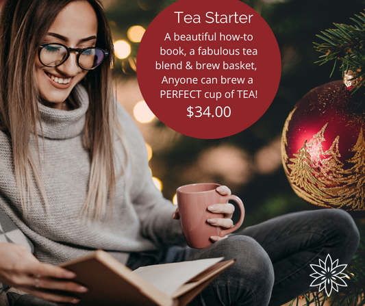 TEA STARTER - Beginner Tea Brewing Bundle